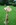 champignons teck massif 1m50 de haut déco jardin